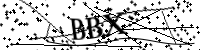 請輸入下面的字母