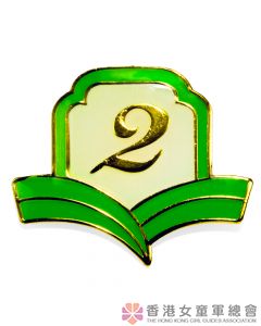 Golden Guide Year Badge 2