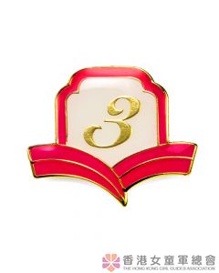 Golden Guide Year Badge 3