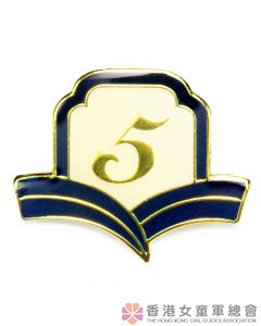 Golden Guide Year Badge 5