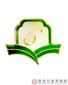 Golden Guide Year Badge 6